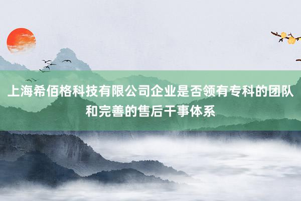 上海希佰格科技有限公司企业是否领有专科的团队和完善的售后干事体系